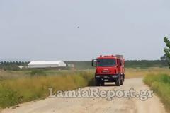 Λαμία: Ζευγάρι κινδύνευσε να καεί για να σώσει μία αγελάδα