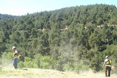 Θεσσαλονίκη: Καθαρίζουν το Σέιχ Σου για να προλάβουν πυρκαγιές