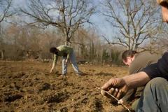 Εκτιμητές ΕΛΓΑ: Δικαίωση μέσω Δικαιοσύνης