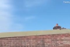 Τρόμος στο Μπρίστολ από Airbus που πετούσε πολύ χαμηλά