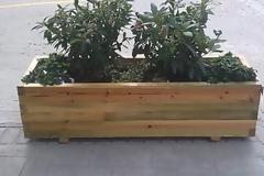 Σύλληψη καταστηματάρχη γιατί έσπασε ζαρντινιέρα στο κέντρο του Αγρινίου