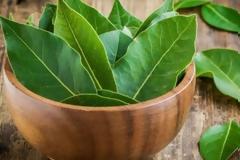 Ζέστη και κατσαρίδες - Τρεις φυσικοί τρόποι για να τις εξαφανίσετε από το σπίτι σας