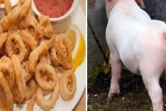 Πέντε προϊόντα που δεν πρόκειται να ξαναφάς ποτέ μόλις δεις τι έχουν μέσα