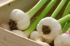 Ποιο τρόφιμο μπορεί να σε προστατέψει από καρκίνο, διαβήτη και καρδιαγγειακά;