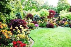 Κιλκίς: Απίστευτο! Κανείς δεν μπορούσε να φανταστεί τι έκρυβε στον κήπο του