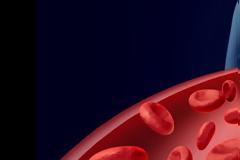 Ποιες είναι οι τροφές που μπορούν να προστατέψουν τις αρτηρίες μας, σύμφωνα με νέα μελέτη;