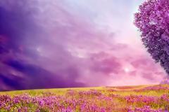 Οι προβλέψεις για τα αισθηματικά σου αυτή την εβδομάδα