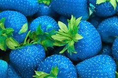 Ίσως τελικά το μπλε χρώμα να συμβολίζει το πάθος