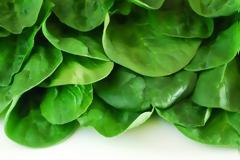 Τρεις λόγοι για να βάλετε το σπανάκι στη διατροφή σας