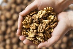 Γιατί τα καρύδια είναι ωφέλιμα για το έντερο και την καρδιά