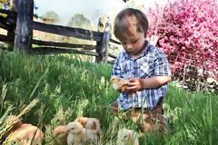 Όσοι ζουν κοντά σε φάρμες διατρέχουν μικρότερο κίνδυνο εμφάνισης αλλεργιών!