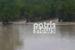 Πλημμυρισμένο τοπίο η Σαλμώνη – Εικόνες καταστροφής από drone