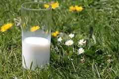 Οστεοπόρωση και διατροφή: Ποια είναι τα θρεπτικά συστατικά που θα μας βοηθήσουν να την προλάβουμε;