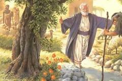 «Δέσποτά μου, Δέσποτα Σώτερ, ήμαρτον, συγχώρησον και σώσόν με»