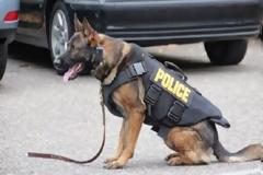 Αστυνομικός δώρισε στην υπηρεσία του εκπαιδευμένο σκύλο