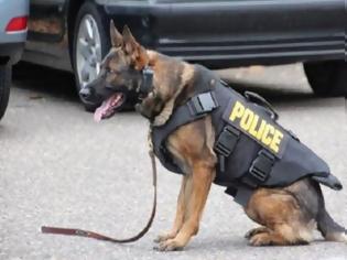 Φωτογραφία για Αστυνομικός δώρισε στην υπηρεσία του εκπαιδευμένο σκύλο