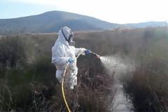 Ψεκάζουν αύριο για τα κουνούπια στον υδροβιότοπο Σχινιά