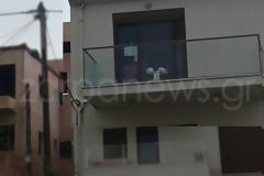 Μοναδικό περιστατικό στα Χανιά: Γλάρος εγκλωβίστηκε σε μπαλκόνι στη Χαλέπα [photos]