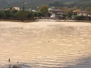 Φωτογραφία για Νίκος Μωραίτης ΚΚΕ: Να αποζημιωθούν άμεσα οι πληγέντες από τις καταστροφικές πλημμύρες στο Νόμο Αιτωλοακαρνανίας