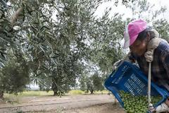 Ρύθμιση χρεών αγροτών με δυνατότητα «κουρέματος» έως και 60%