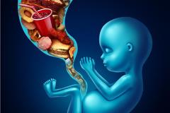 Ποια φαγητά μπλοκάρουν την εγκυμοσύνη;