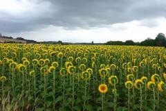 Εντυπωσιακές φωτογραφίες που δεν έγιναν με Photoshop