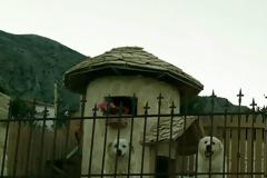 ΑΣΤΑΚΟΣ: Κι άλλος σκύλος νεκρός από φόλα μέσα σε ιδιόκτητο χώρο!!!