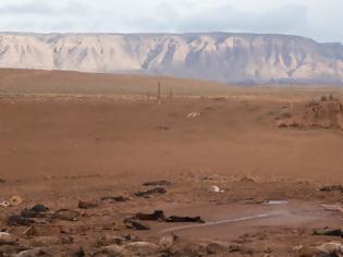 Φωτογραφία για Διακόσια άγρια άλογα πέθαναν από δίψα στην Αριζόνα
