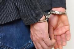 Φρίκη στην Αμαλιάδα: Ηλικιωμένος συνουσιαζόταν με σκύλο... σε κοινή θέα