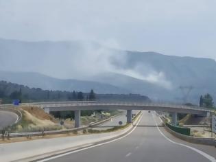 Φωτογραφία για Κάηκε αυτοκίνητο στην Ιόνια στο ύψος της Σταμνάς