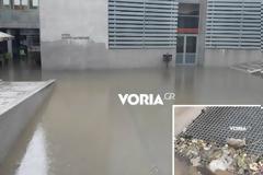 Η νεροποντή ξέβρασε νεκρά ποντίκια στο δημαρχείο Θεσσαλονίκης