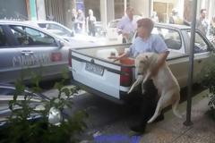 Φρικτό θέαμα στο κέντρο του Αγρινίου! (ΦΩΤΟ)