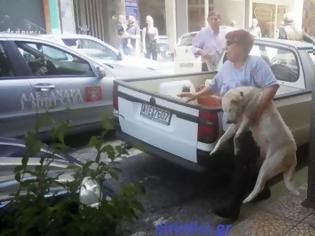 Φωτογραφία για Φρικτό θέαμα στο κέντρο του Αγρινίου! (ΦΩΤΟ)