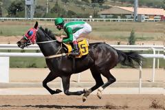 «Ραντεβού» στο Μαρκόπουλο με επτά ιπποδρομίες και έντονη αγωνιστική δράση