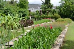 Εχεις πάει ποτέ στον βοτανικό κήπο του Διομήδους; Ενας παράδεισος στο Xαϊδάρι που γνωρίζουν ελάχιστοι