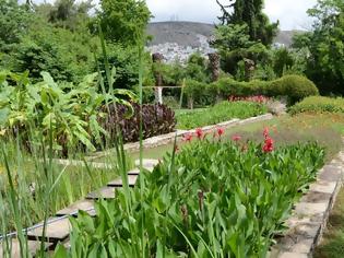 Φωτογραφία για Εχεις πάει ποτέ στον βοτανικό κήπο του Διομήδους; Ενας παράδεισος στο Xαϊδάρι που γνωρίζουν ελάχιστοι