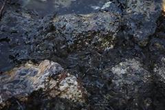 Τα βρώμικα σημεία που απαγορεύεται το κολύμπι στην Αττική