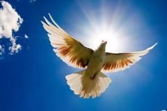 Αργία του Αγίου Πνεύματος 2018: Πότε 