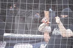 Οπαδός του ΠΑΟΚ με... πένσα, σκίζει τα διαχωριστικά στο ΟΑΚΑ [photos]