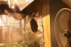 Πρέβεζα: Χειροπέδες σε 27χρονο για υδροπονική κάνναβης