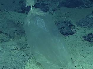 Φωτογραφία για Κι όμως: Βρέθηκε πλαστική σακούλα στο πιο βαθύ σημείο των ωκεανών - Στα 10.898 μέτρα