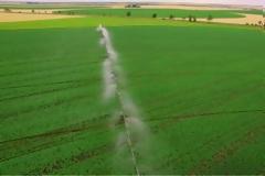 Στο έλεος συμμοριών τα χωράφια στην Λαμία