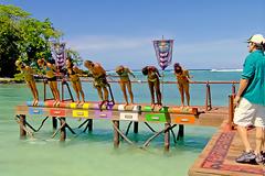 Βιάστηκε παίκτρια σε πασίγνωστο ριάλιτι επιβίωσης! 