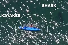 Έκανε καγιάκ σε απόσταση αναπνοής από έναν λευκό καρχαρία [video]