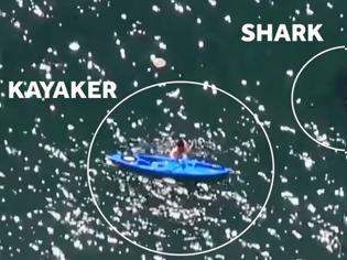 Φωτογραφία για Έκανε καγιάκ σε απόσταση αναπνοής από έναν λευκό καρχαρία [video]