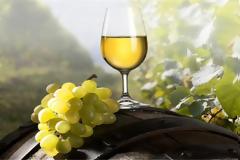 Οίνος και Βιολογική καλλιέργεια: Οι κανόνες και οι προβληματισμοί