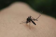 Πώς αντιμετωπίσετε άμεσα τη φαγούρα από το τσίμπημα του κουνουπιού