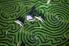 Η τεχνητή νοημοσύνη της Google μιμείται τον εγκέφαλο