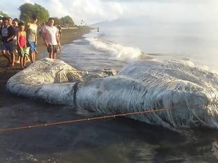 Φωτογραφία για Τρόμος στις Φιλιππίνες – Ένα μαλλιαρό πλάσμα ξεβράστηκε σε ακτή