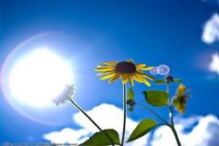 Αίθριος με λίγες νεφώσεις ο καιρός σήμερα